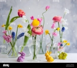 bouquets-de-fleurs-dans-des-vases-en-verre-sur-une-table-de-paques-festive-oeufs-de-paques-colores-dans-des-coquetiers-2p0jhwy.jpg